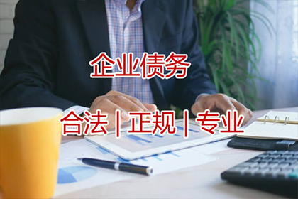 债务追偿强制执行申请流程